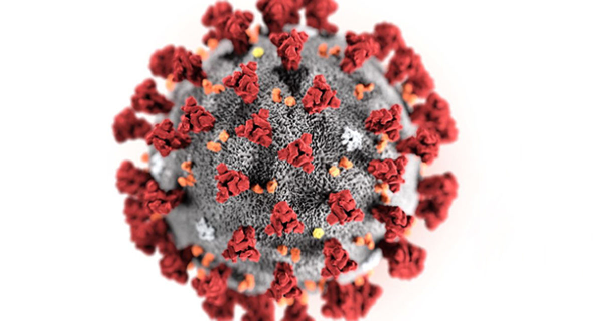 कोभिडको नयाँ भेरिएन्ट केपी.१ र केपी.२ नेपालमा भेटियो : Jana Aawaj News