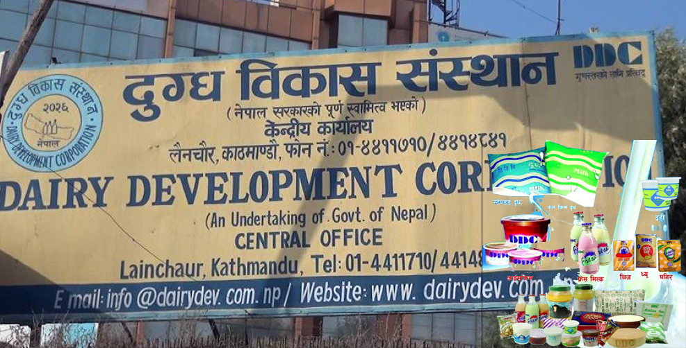 डीडीसीले किसानलाई दियो ४८ करोड : Jana Aawaj News