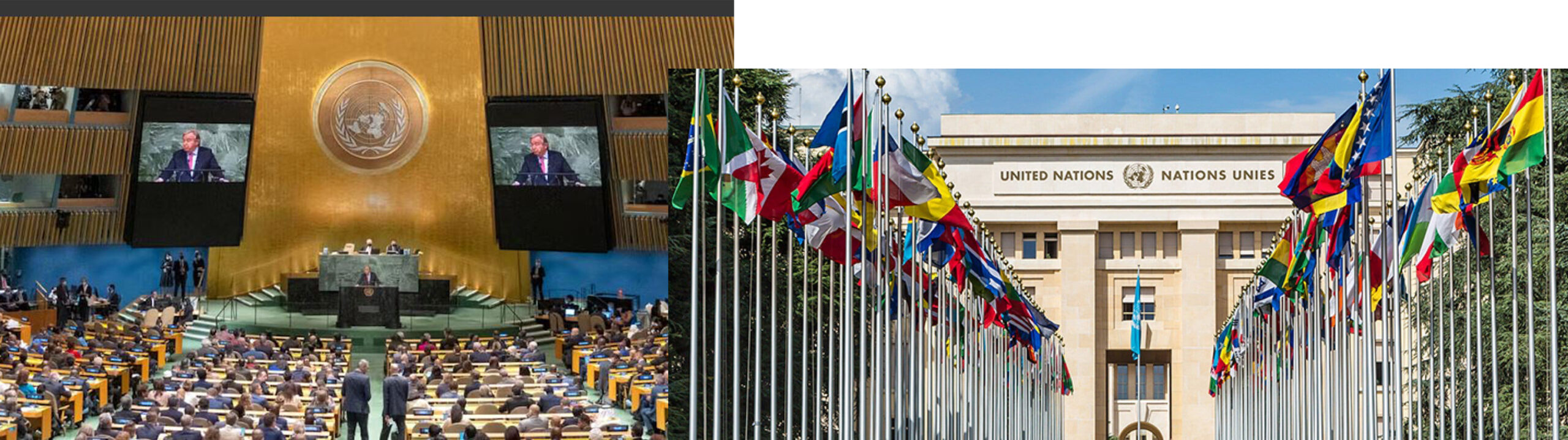 मंगलबारदेखि सुरु हुँदै संयुक्त राष्ट्रसङ्घको महासभा, आसोज १० गते प्रधानमन्त्री ओलीले सम्बोधन गर्ने : Jana Aawaj News