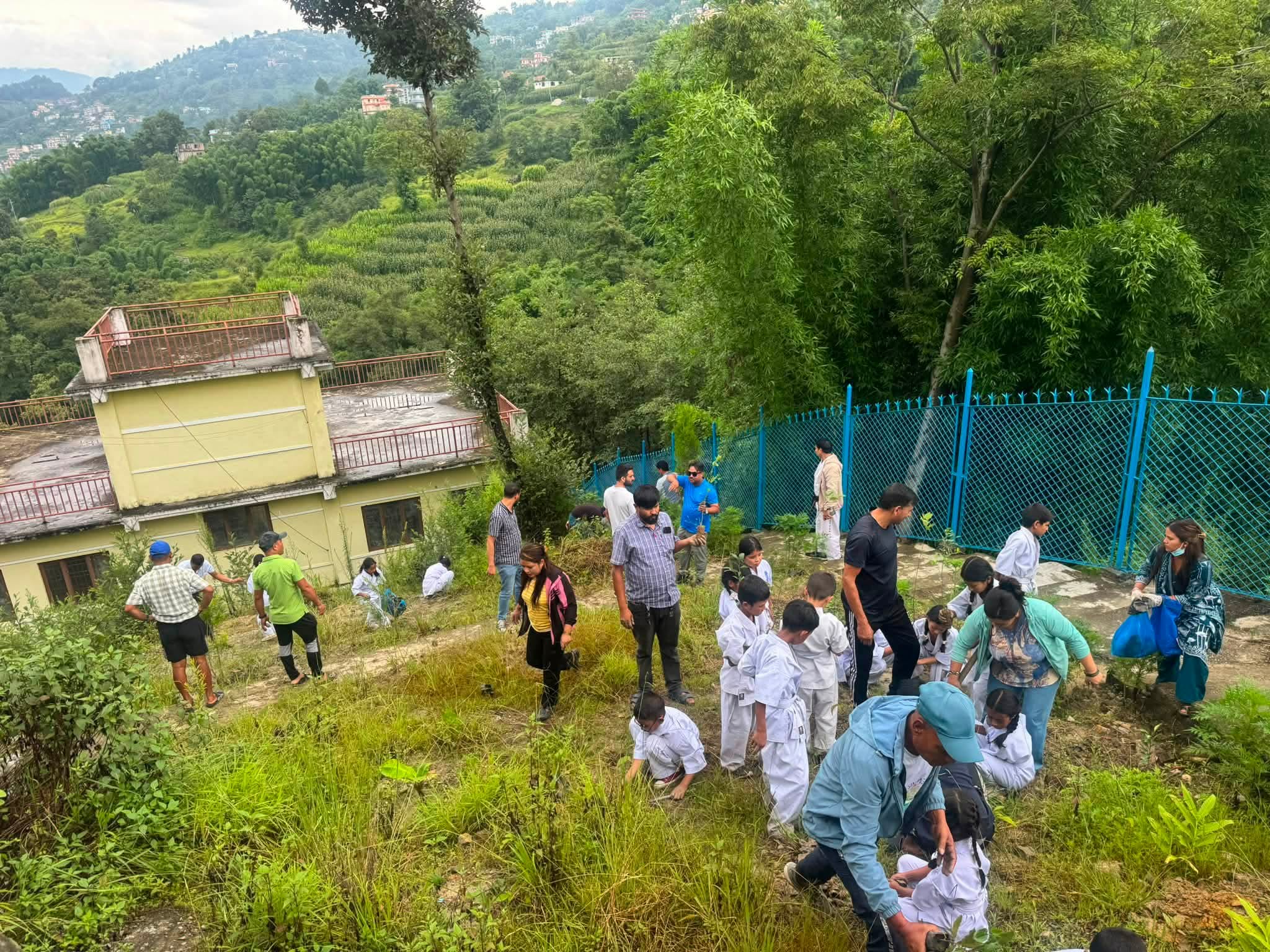 राष्ट्रिय युवा संघ नेपालद्वारा वृक्षारोपण कार्यक्रम सम्पन्न : Jana Aawaj News